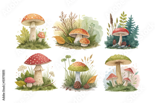 set of watercolor moss vector illustration isolated on white background