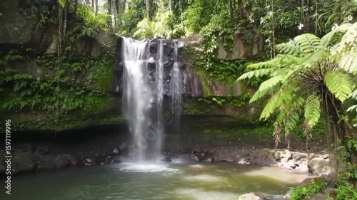 waterfall in the forest