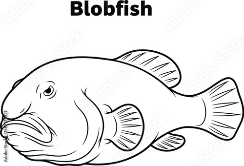 Detailed line art of a blobfish showcases its unique features, perfect for educational materials, coloring books, or designs needing a distinctive sea creature illustration.
