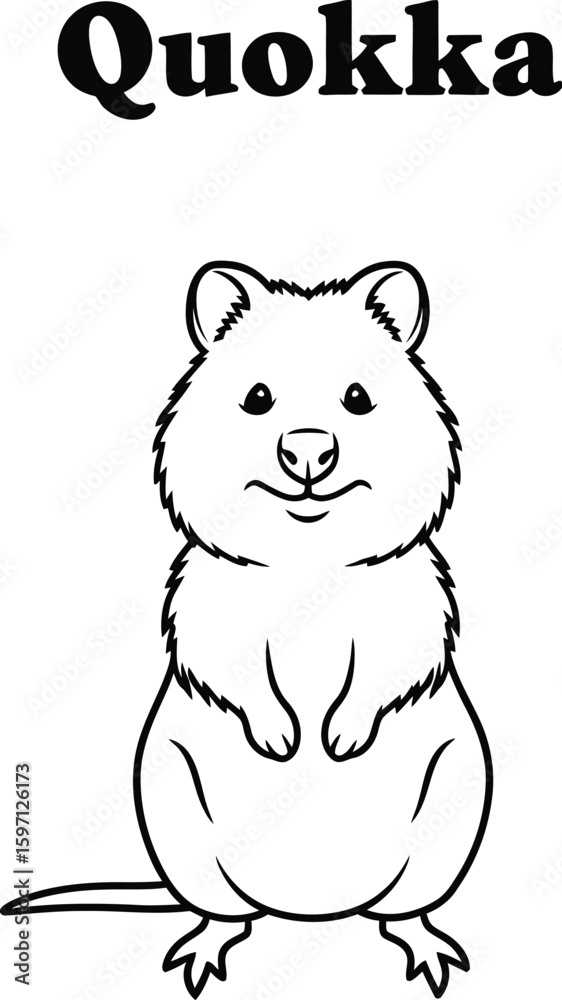 A charming line art illustration showcases a cute quokka, an Australian marsupial, perfect for coloring books, educational materials, or designs needing a touch of adorable wildlife. A charming line art illustration showcases a cute quokka, an Australian marsupial, perfect for coloring books, educational materials, or designs needing a touch of adorable wildlife.