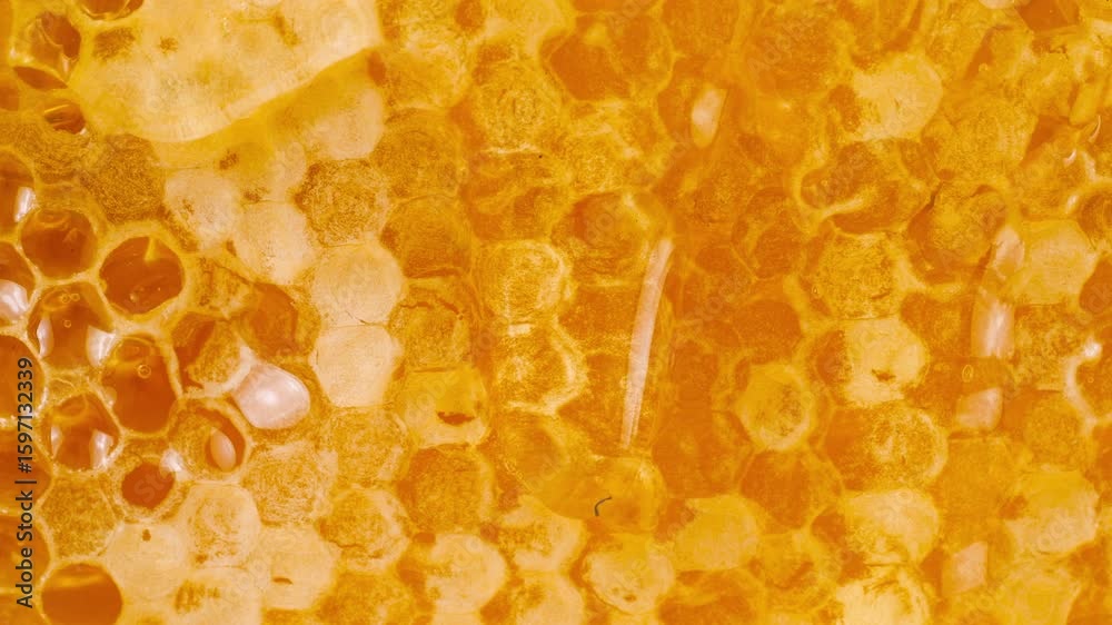 Golden honey flowing down honeycombs. Close-up of wax honeycombs. Shooting macro. Healthy eating concept.