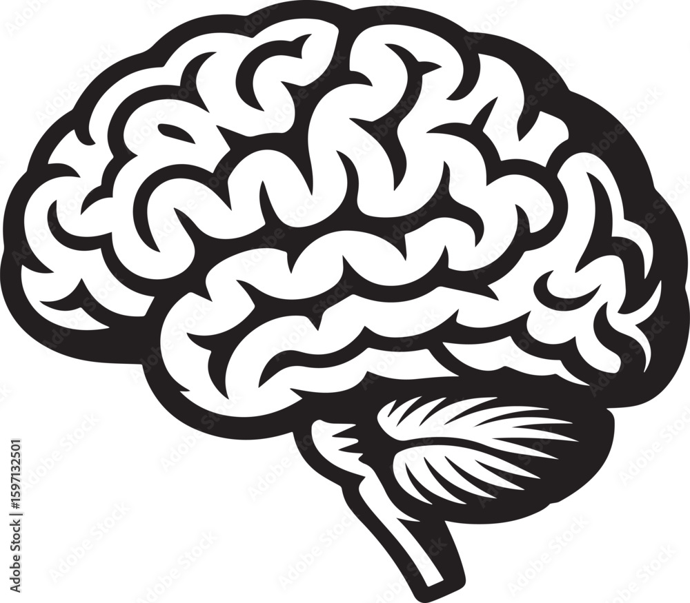 Fototapeta premium Stylized Human Brain Depiction Cerebral Organ and Cerebellum Anatomical Vector Illustration Diagnostic and Neurological Symbol