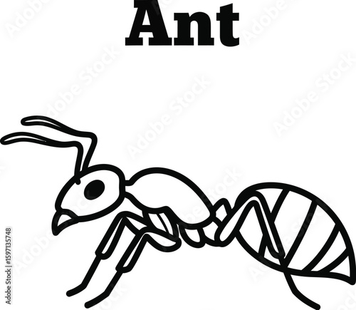 A bold line drawing showcases an ant with detailed legs and antennae, perfect for educational materials or insect-themed designs, highlighting simplicity and biological accuracy.