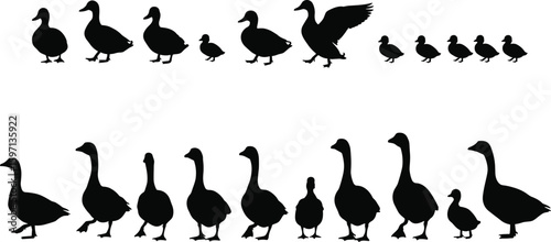Silhouettes of ducks and geese walking and flying in various poses, perfect for farm animal, wildlife, and nature designs