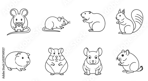Collection of eight outlined rodents including a mouse, squirrel, hamster, and guinea pig drawing