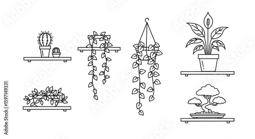 Assortment of potted plants including cacti and hanging vines displayed on shelves and hanging planters