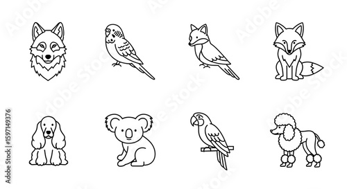 Line drawings of various animals including foxes parrots koala and poodle in a collection of outlines