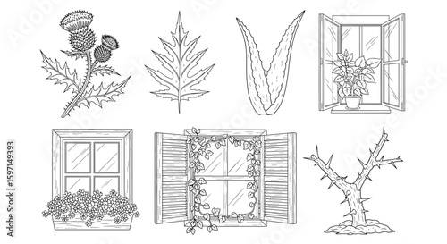 Botanical illustration featuring thistle, leaf, aloe, and windows with plants and vine detail