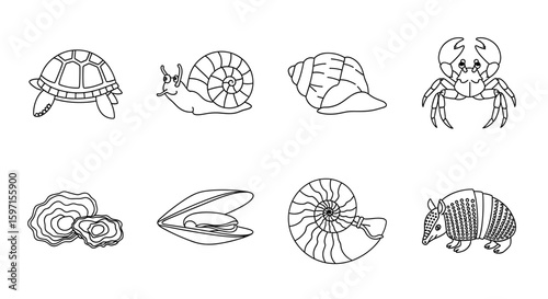 Outlined turtle, snails, crab, oysters, mussel, nautilus, and armadillo line drawing illustration