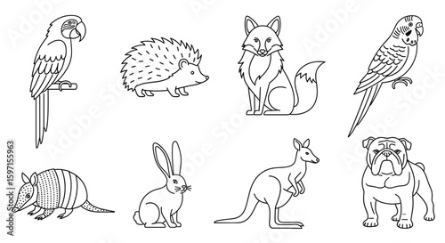 Outlined parrot hedgehog fox parakeet armadillo rabbit kangaroo and bulldog are displayed here nicely