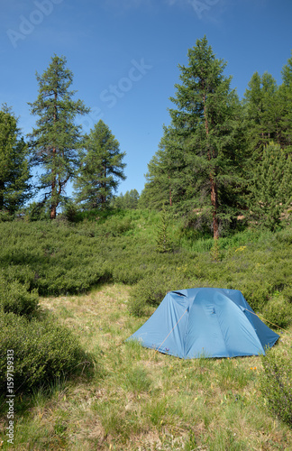 Tourist camp in a mountain forest in Altai. Touristic tent under the morning light.