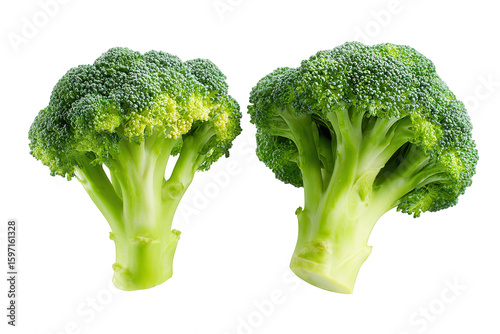 Two fresh broccoli heads, vibrant green, isolated (1)