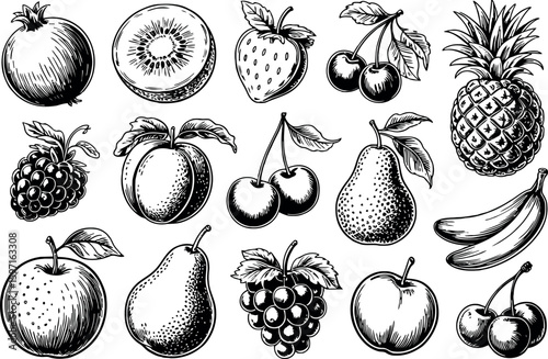  a rich collection of various fruits, all rendered in a detailed engraving style with vibrant, natural colors. 