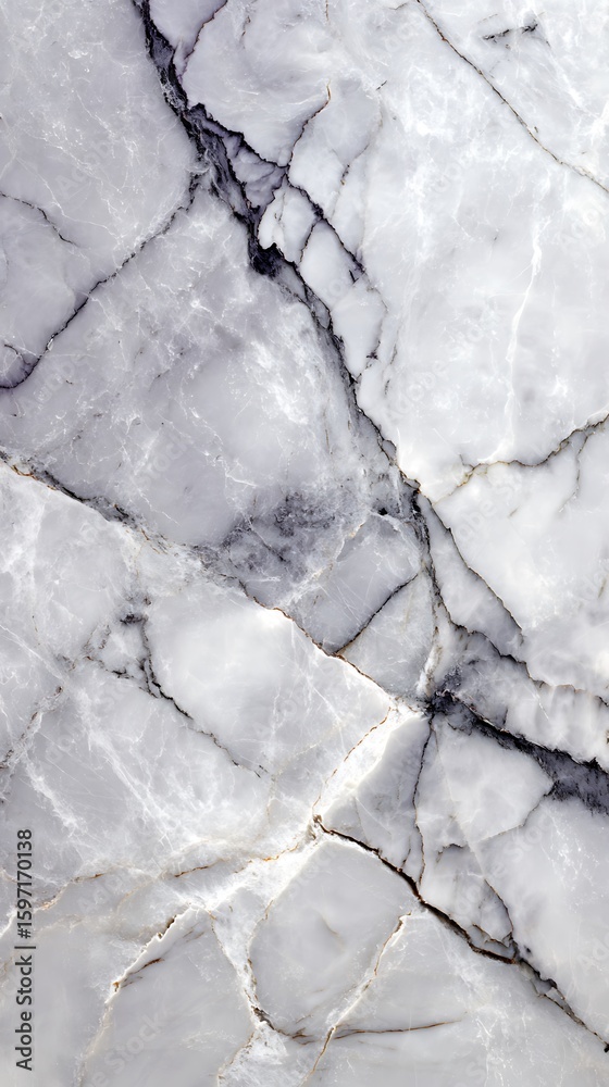 Fototapeta premium Veined White and Gray Marble Texture Detailed Natural Stone Background with Complex Patterns