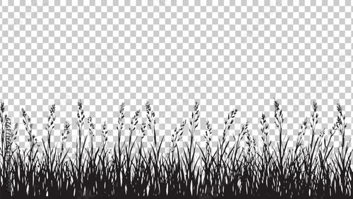 Vector  black silhouette of grass and wild flowers on a transparent background, nature plants illustration