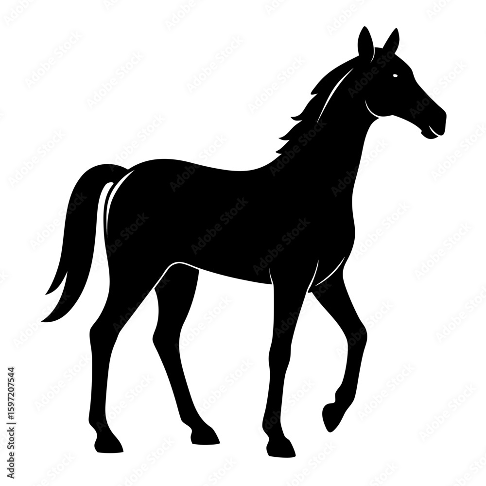 Obraz premium Horse silhouette vector