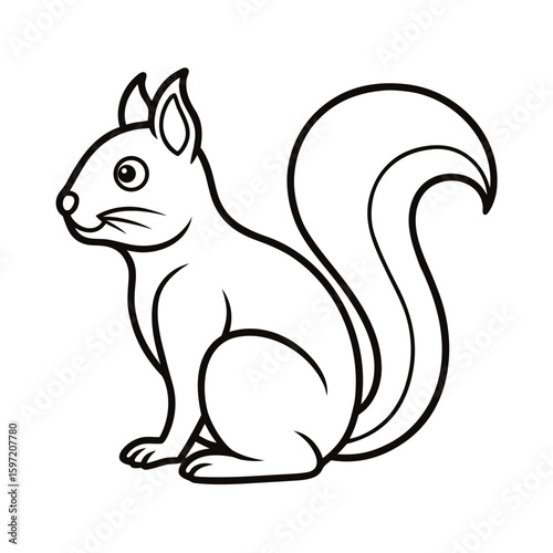 squirrel on white background