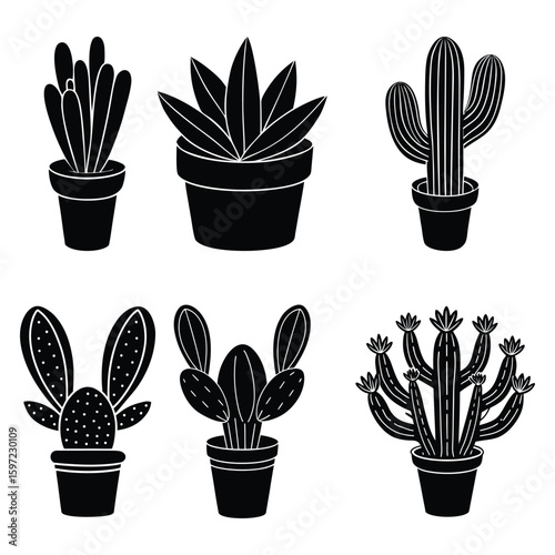 Different type of  Potted cactus set