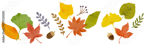 秋の植物の水彩イラストセット