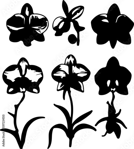 Orchid Flower Silhouette Vector Art, Black Orchid Bloom Outline Design, Orchid Petal Silhouette Collection, Decorative Orchid Floral Vector, Elegant Orchid Flower Clipart, Orchid Vector Illustration S