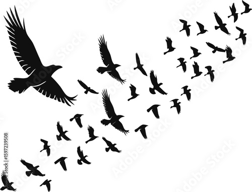 A flock of silhouetted birds, including a large eagle and numerous smaller birds like crows or ravens, soar across a white background in a dynamic flight pattern, conveying freedom and movement.