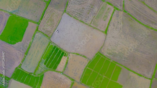 4K Drone Footage of Indian Farmer Ploughing Field with Two White Oxen – Traditional Agriculture - Rare and culturally rich aerial drone footage capturing a rural Indian farmer ploughing his field usin