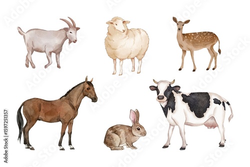 Fototapeta Naklejka Na Ścianę i Meble -  Watercolor of herbivorous animals set on white background. Watercolor of goat, sheep, deer, horse, rabbit, and cow isolated. Hand drawn of herbivorous animals