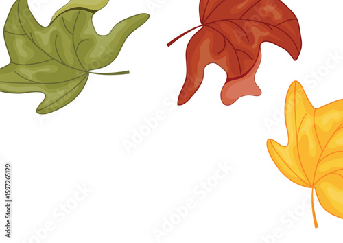 horizontal poster of autumn leaves, namely multi-colored maple leaves that bend sideways, for autumn patterns, postcards or websites