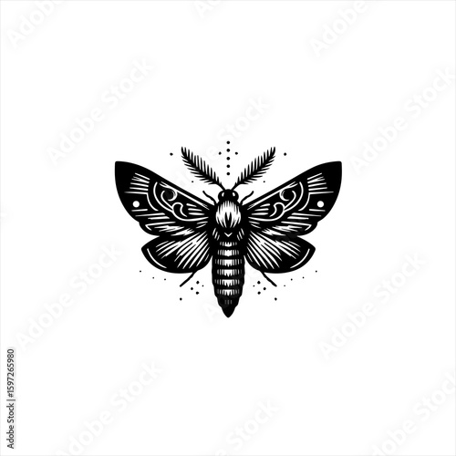 Intricate Black and White Moth Illustration.