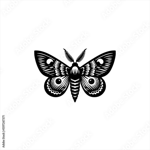 Ornate Black and White Moth Illustration 1.