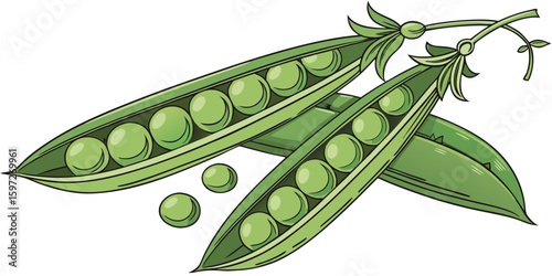 fresh green peas