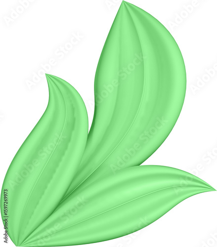 3d render of green plant leaves close up with details on a transparent isolated background