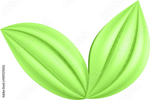 3d render of green plant leaves close up with details on a transparent isolated background