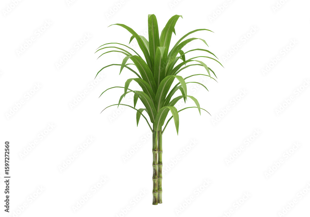 Fototapeta premium Lush green tropical plant with vibrant leaves standing against a plain background