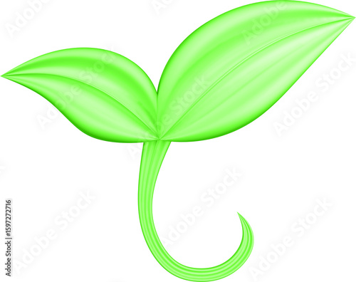 3d render of green plant leaves close up with details on a transparent isolated background