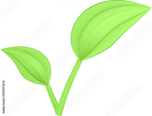 3d render of green plant leaves close up with details on a transparent isolated background