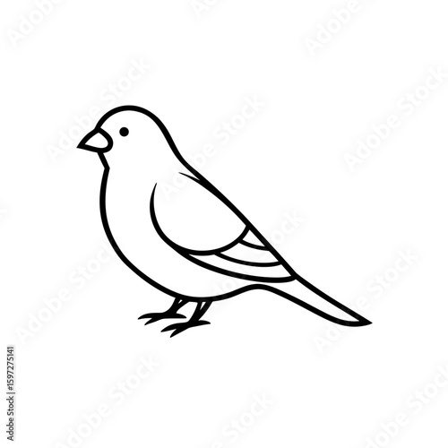 canary   .svg