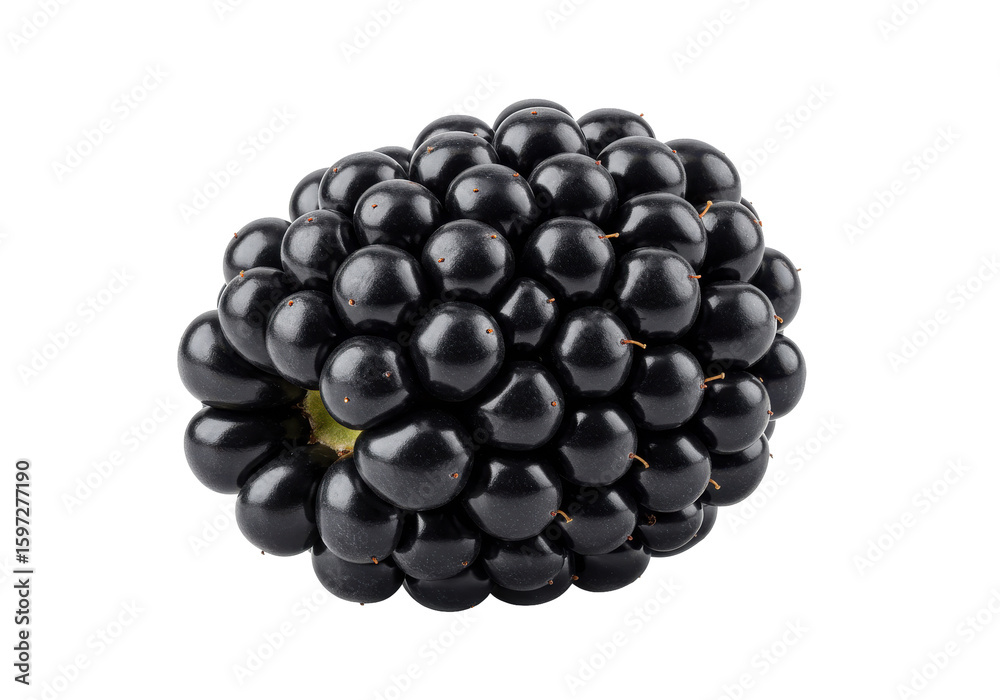 Close-up of a ripe blackberry showcasing its glossy texture against a plain background Close-up of a ripe blackberry showcasing its glossy texture against a plain background