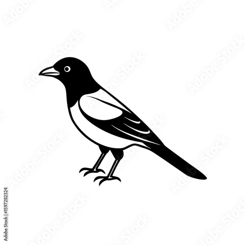 oriole    .svg