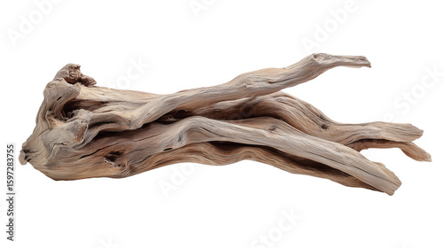 Driftwood. isolated object, white background