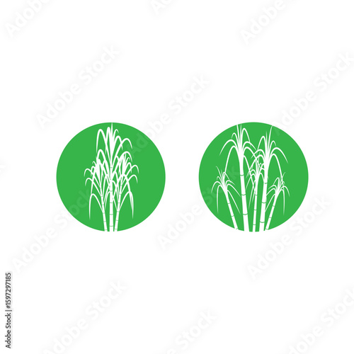 Sugarcane logo vector and symbol design
