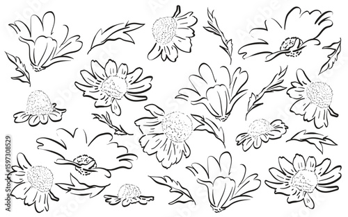 Abstract art background vector. minimal style wallpaper with black and white line art flower and botanical leaves, Organic shapes. Vector background for cover, wall art, invitation, fabric, poster, ca