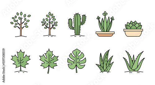 Collection of diverse plant icons: trees, cacti, leaves, and succulents, for design projects