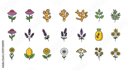 Herbal remedies and natural ingredients collection in flat line style, well being and organic lifestyle