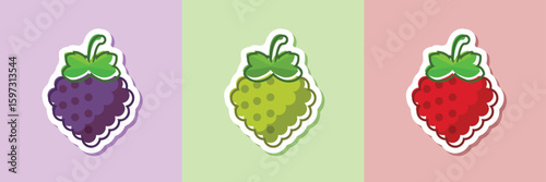 Grape, blueberry, raspberry sticker fruit icon set collection in flat style. Berry vector illustration on isolated background. Nature snack sign business concept.