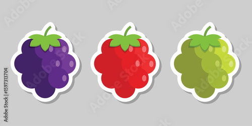 Grape, blueberry, raspberry sticker fruit icon set collection in flat style. Berry vector illustration on isolated background. Nature snack sign business concept.