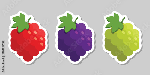 Grape, blueberry, raspberry sticker fruit icon set collection in flat style. Berry vector illustration on isolated background. Nature snack sign business concept.