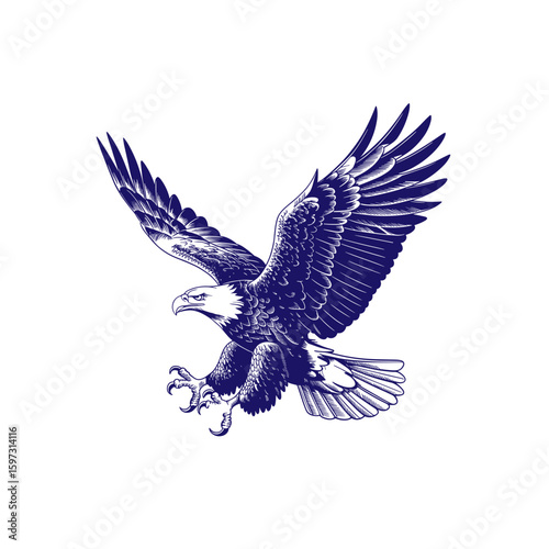 Flying Eagle Illustration – Detailed Vintage Drawing of Majestic Bird of Prey

