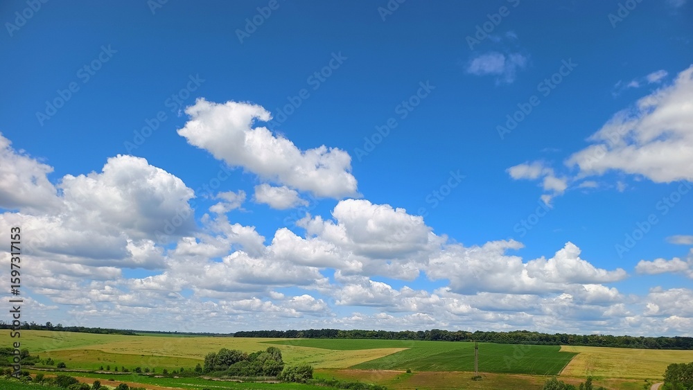 Obraz premium green field and blue sky