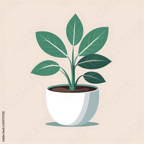 Minimalist potted plant with large green leaves in a white pot bringing nature indoors